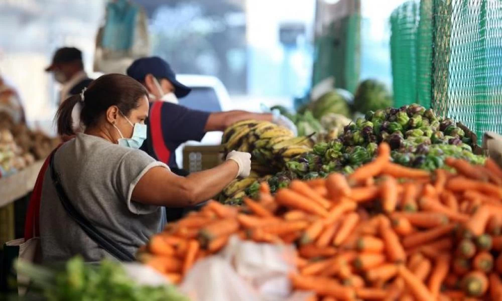 Κορονοϊός: Ποιες τροφές «θωρακίζουν» το ανοσοποιητικό μας σύστημα